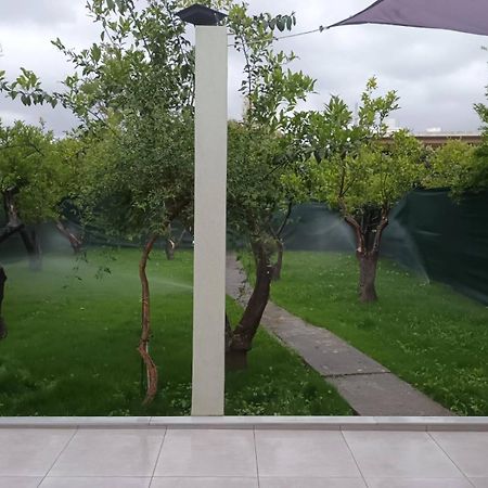 Olgas Cozy Home Chania  Zewnętrze zdjęcie